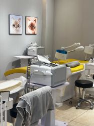 点击看大图 -洗脸猫·洗脸吧