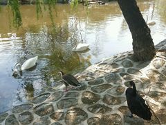 -石家庄市动物园