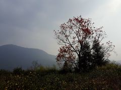 -塔川景区
