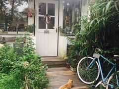 -海边的猫和咖啡馆