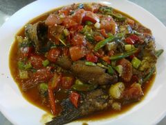 -金龙寨(解西店)