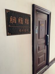 -胭脂猫京剧摄影