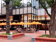 -北海道厅旧本厅舍(旧本庁舎)