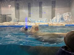 -大连圣亚海洋世界