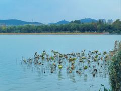 -云龙湖旅游景区
