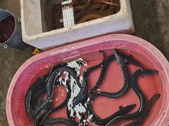 -上海龙吴水胜海发市场