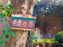 -东部华侨城