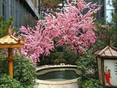 -悦隆庄温泉度假酒店