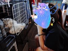 -苏州文旅花间堂·探花府酒店