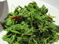 山胡椒油丝瓜尖-匠熙小馆(崇文门店)