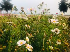 -玫瑰海岸文化旅游度假区