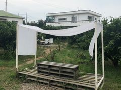 -柑橘农场