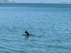 -威海大水泊国际机场