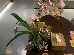 -施奈儿.洗头頭療.按摩SPA.采耳(上梅林店)