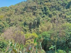 -梧桐山风景名胜区