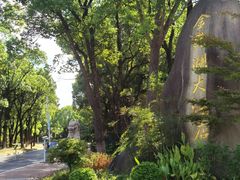 -苏州金鸡湖大酒店