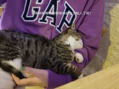 -平行世界·猫咖(首经贸店)