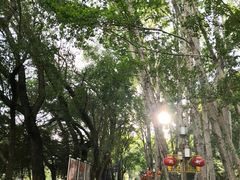 -宗角禄康公园