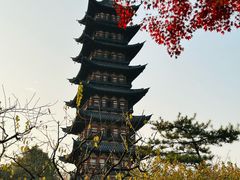 -上海方塔园