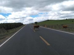 -塞罕坝国家级自然保护区