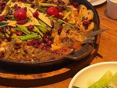 -老板恋上鱼(恒隆广场店)