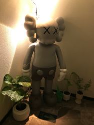 -玛莲朵·海菲秀冰珀科