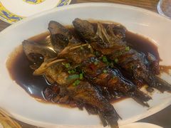 -老马家·舌尖上的西塘美食