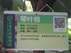 android_upload_pic-石家庄市植物园
