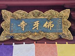 -新加坡佛牙寺龙华院
