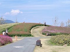 -径山花海