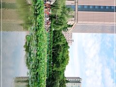 -黄兴公园