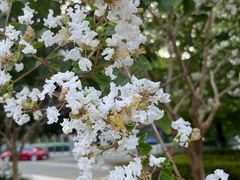 -杭州城北体育公园