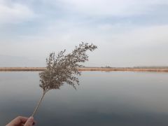 景点-野鸭湖国家湿地公园