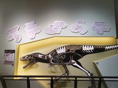 -香港科学馆