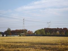 -嘉北郊野公园
