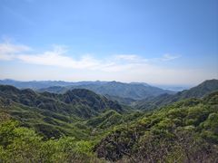 -大岭沟猕猴桃谷风景区
