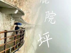 -鹿院坪生态旅游景区