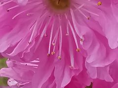 -长春公园(普阳街道)