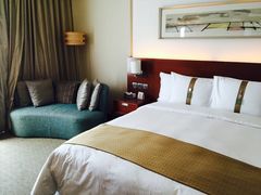 -上海浦东康桥绿地假日酒店