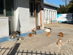 -北京西山国家森林公园