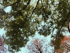 -南京农业大学(浦口校区)