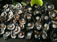 -北海金海湾红树林生态旅游区