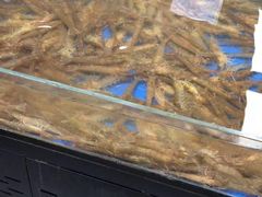 水产区-新隆嘉生鲜超市(北二经街店)