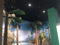 -国家自然博物馆