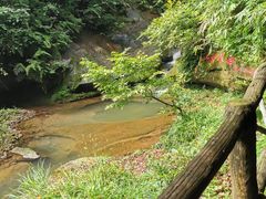 -中国大熊猫保护研究中心雅安碧峰峡基地