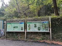 -素山寺森林公园