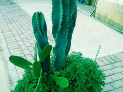 -黄金沟旅游风景区