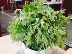 -尧味轩养生火锅(漪汾街店)