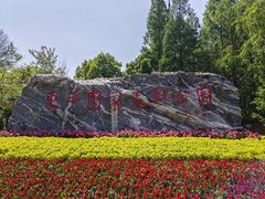 -东平国家森林公园