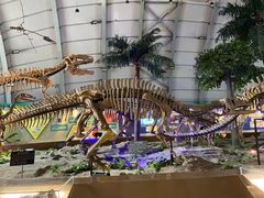-辽宁古生物博物馆